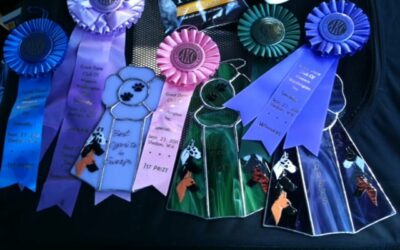 It turns out you get a lot of loot at a Great Dane Specialty Show