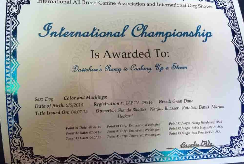 Remy (Mantle Dane) is an International Champion!